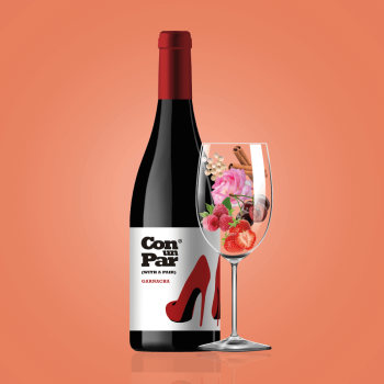 Купить Вино 0,75 л Con un Par Garnacha напівсухе червоне сортове 13% об скл/пл Іспанія в АТБ Market