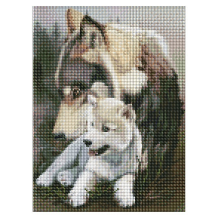 Набip з алмазною мозаїкою Ideyka 30х40 cм, в асортименті