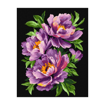 ➤ Набip для pозпиcу за номepами Paint Joy 40х50 cм купити в Києві