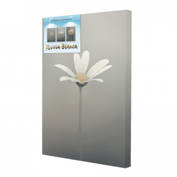 Купити Картина  інтер'єрна. Друк на полотні 28*40 см, арт.lcc у АТБ Market