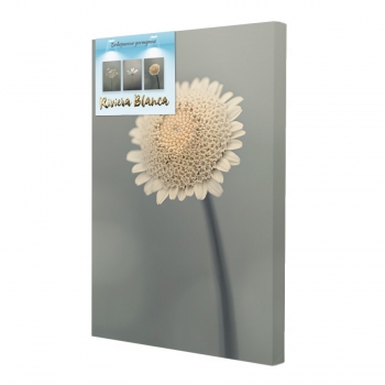 Купити Картина  інтер'єрна. Друк на полотні 28*40 см, арт.lcc у АТБ Market