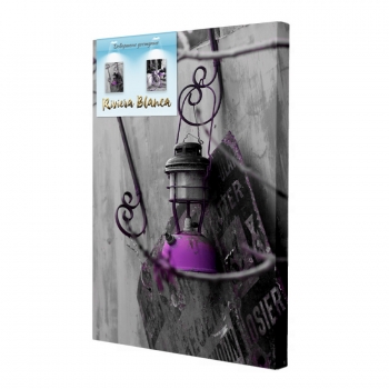 Купити Картина  інтер'єрна. Друк на полотні 28*40 см, арт.lcc у АТБ Market