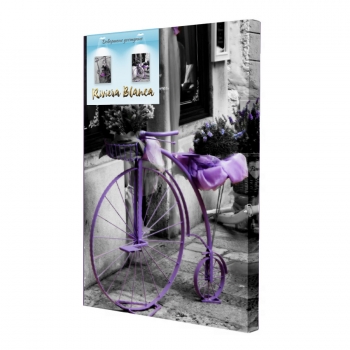 Купити Картина  інтер'єрна. Друк на полотні 28*40 см, арт.lcc у АТБ Market