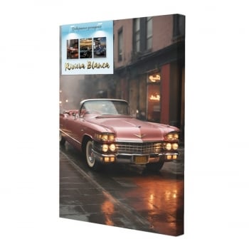 Купити Картина  інтер'єрна. Друк на полотні 28*40 см, арт.lcc у АТБ Market