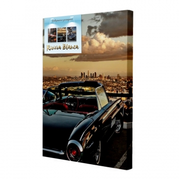 Купити Картина  інтер'єрна. Друк на полотні 28*40 см, арт.lcc у АТБ Market