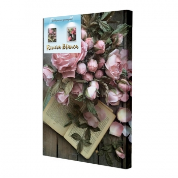 Купити Картина  інтер'єрна. Друк на полотні 28*40 см, арт.lcc у АТБ Market