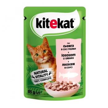 Купити Корм для котів 85г Kitekat консерви з лососем у АТБ Market