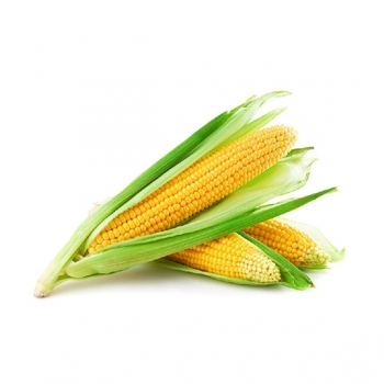 Купити Кукурудза 1 шт, 1 гат. у АТБ Market