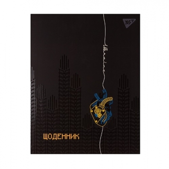 Купити Щоденник шкільний, 40 аркушів, в асортименті у АТБ Market