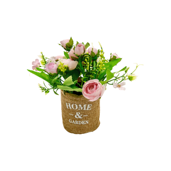 Купити Рослина декоративна 