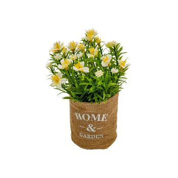 Купити Рослина декоративна 