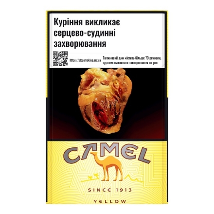 Camel Filters