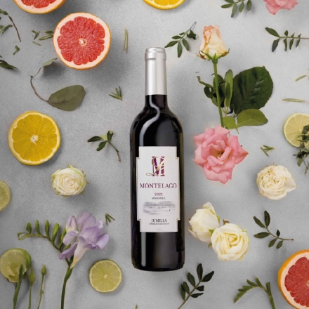 Вино 0,75 л Montelago Monastrell сухе червоне 13% об скл/пл Іспанія