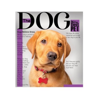 Купити Зошит 48 аркушів, клітинка, в асортименті у АТБ Market