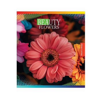 Купити Зошит 48 аркушів, клітинка, в асортименті у АТБ Market