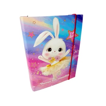 Купити Папка для зошитів, на резинці 24 *17,5*3см, арт.ltg у АТБ Market