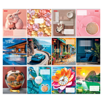 Купити Зошит загальний 60 аркушів в клітинку, з кольор. обклад. спецеф. 