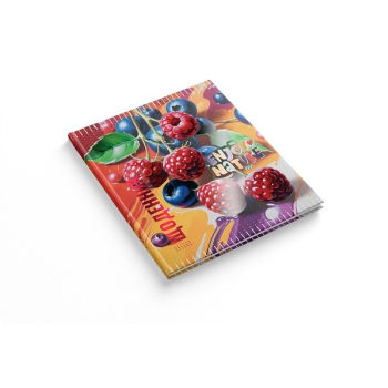 Купити Щоденник учнівський, розмір: 170х200 мм, 40 аркушів, в асортименті у АТБ Market