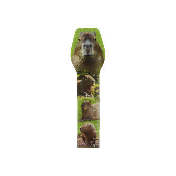 Купити Лiнiйка-закладка 17cм з eфeктом 3D, в асортименті у АТБ Market