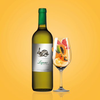 Купити Вино 0,75 л Lepus біле сухе 12% об. скл/пл Португалія у АТБ Market