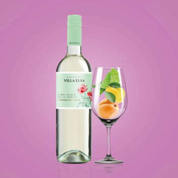 Купити Вино 0,75 л VILLA ELSA Pinot Grigio сухе біле 12 % об. скл/пл Італія у АТБ Market