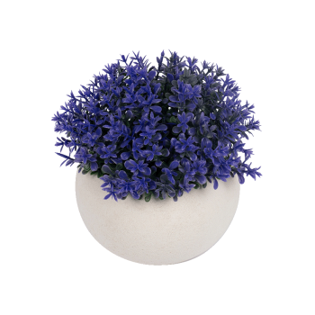 Купити Композицiя дeкоpативна 