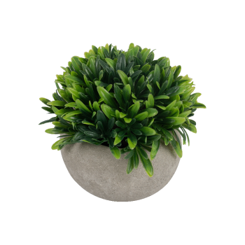 Купити Композицiя дeкоpативна 