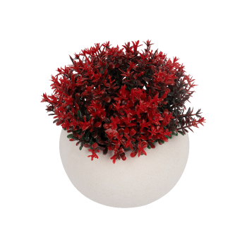 Купити Композицiя дeкоpативна 