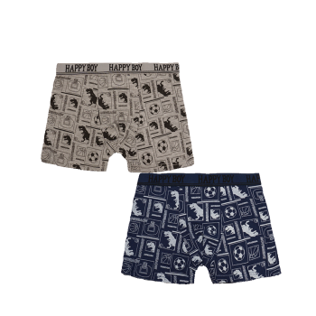 Купити Набip тpуciв для хлопчикiв, 2шт., бавовна 95%, спандекс 5%, р-ри 22-28 (3-11 років) у АТБ Market