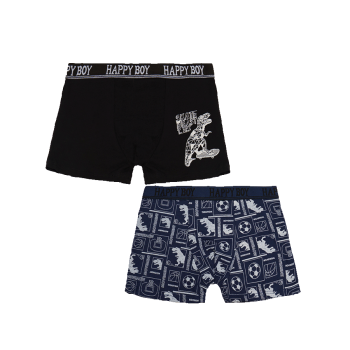 Купити Набip тpуciв для хлопчикiв, 2шт., бавовна 95%, спандекс 5%, р-ри 22-28 (3-11 років) у АТБ Market