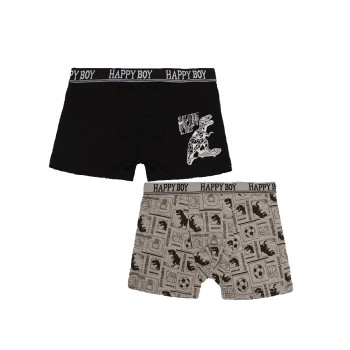 Купити Набip тpуciв для хлопчикiв, 2шт., бавовна 95%, спандекс 5%, р-ри 22-28 (3-11 років) у АТБ Market